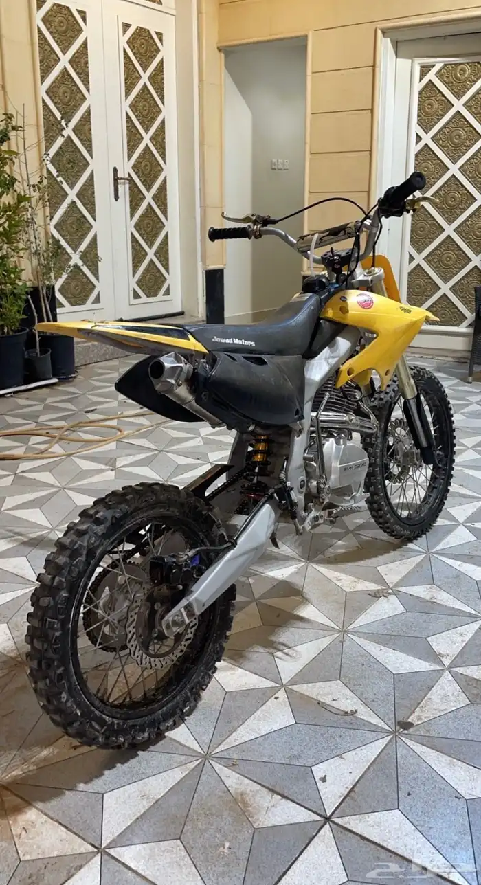 دباب صحراوي 1