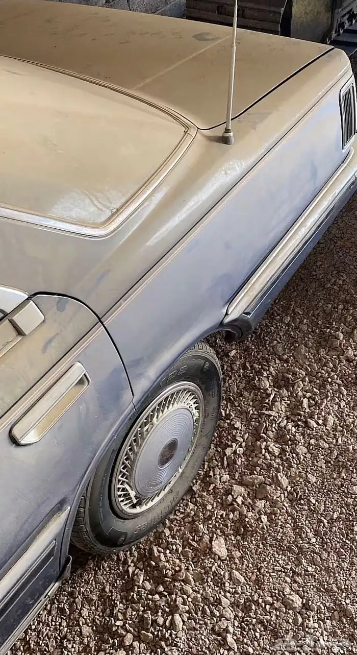 سيدرك نظيفه 3