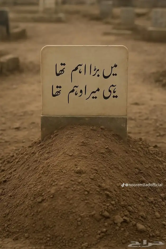 سرير دولاب مراتب جلس  ستاير سير جمل  تفسيل تركيب توصيل 9