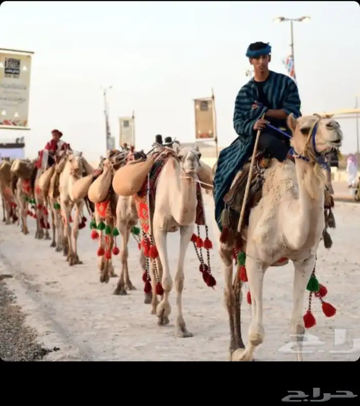 آجار جمال رحول ركبي لي التصوير وا الفعاليات وا المناسبه 0