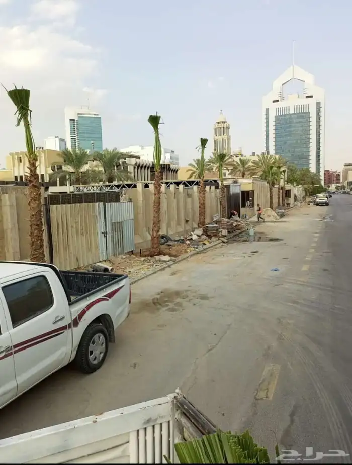 جميع انواع انخيل (ازينه_المثمره)-وجميع انوع الاشجار الاخراء 1