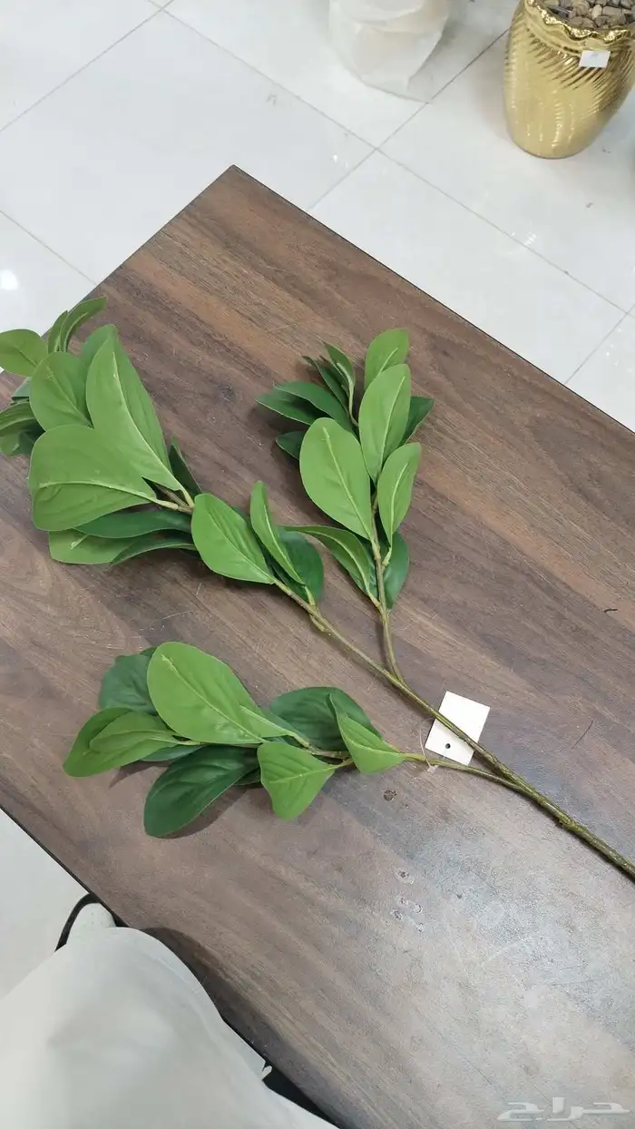 شجر زيتون صناعي وجذع طبيعي ارتفاع متر ونص ومتر 11