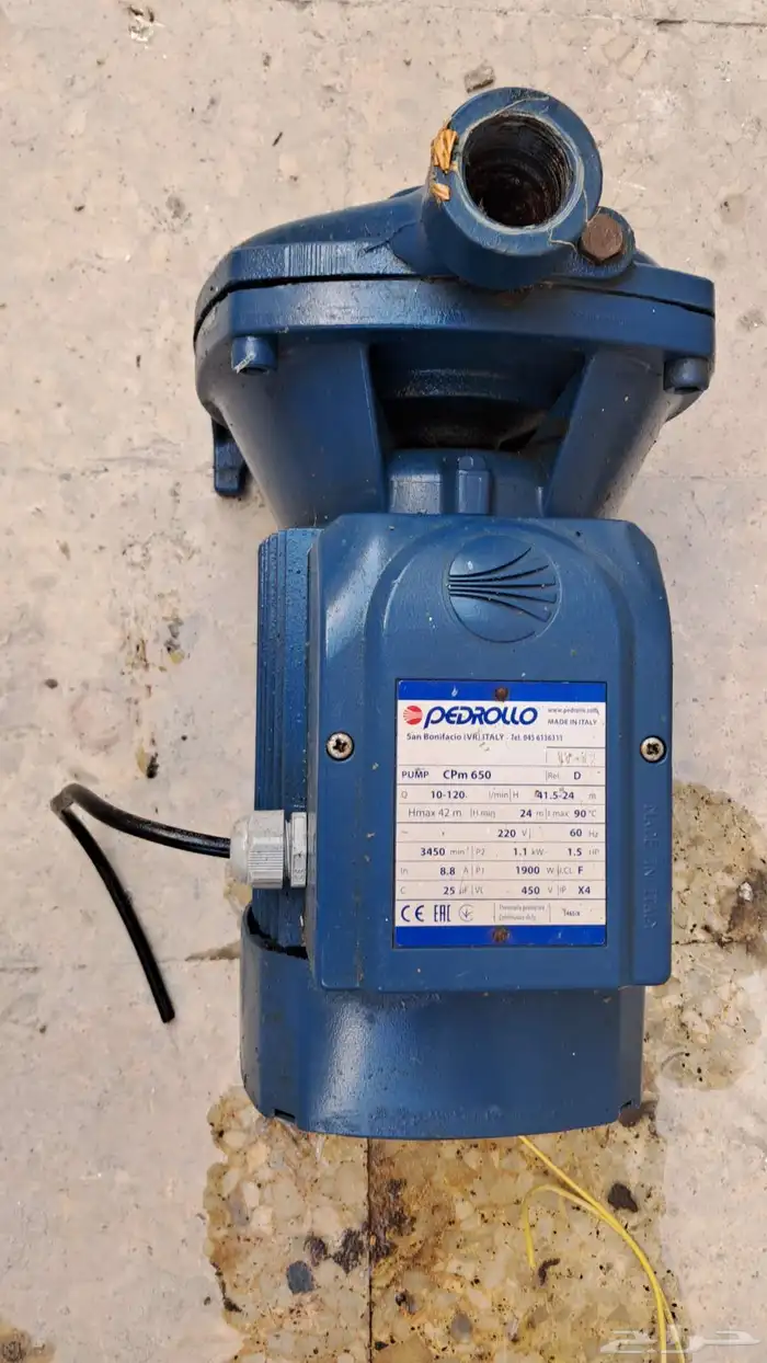 دينو حصان ونصف إيطالي 1