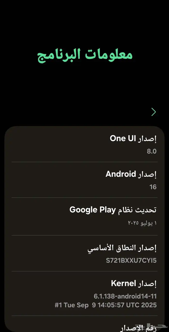 جالاكسي اس 24 اف اي Galaxy s24 FE 256GB 8