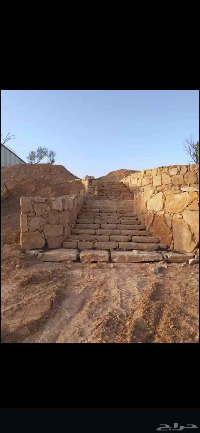 توريد نخيل وتركيب الشبوك سياج 1