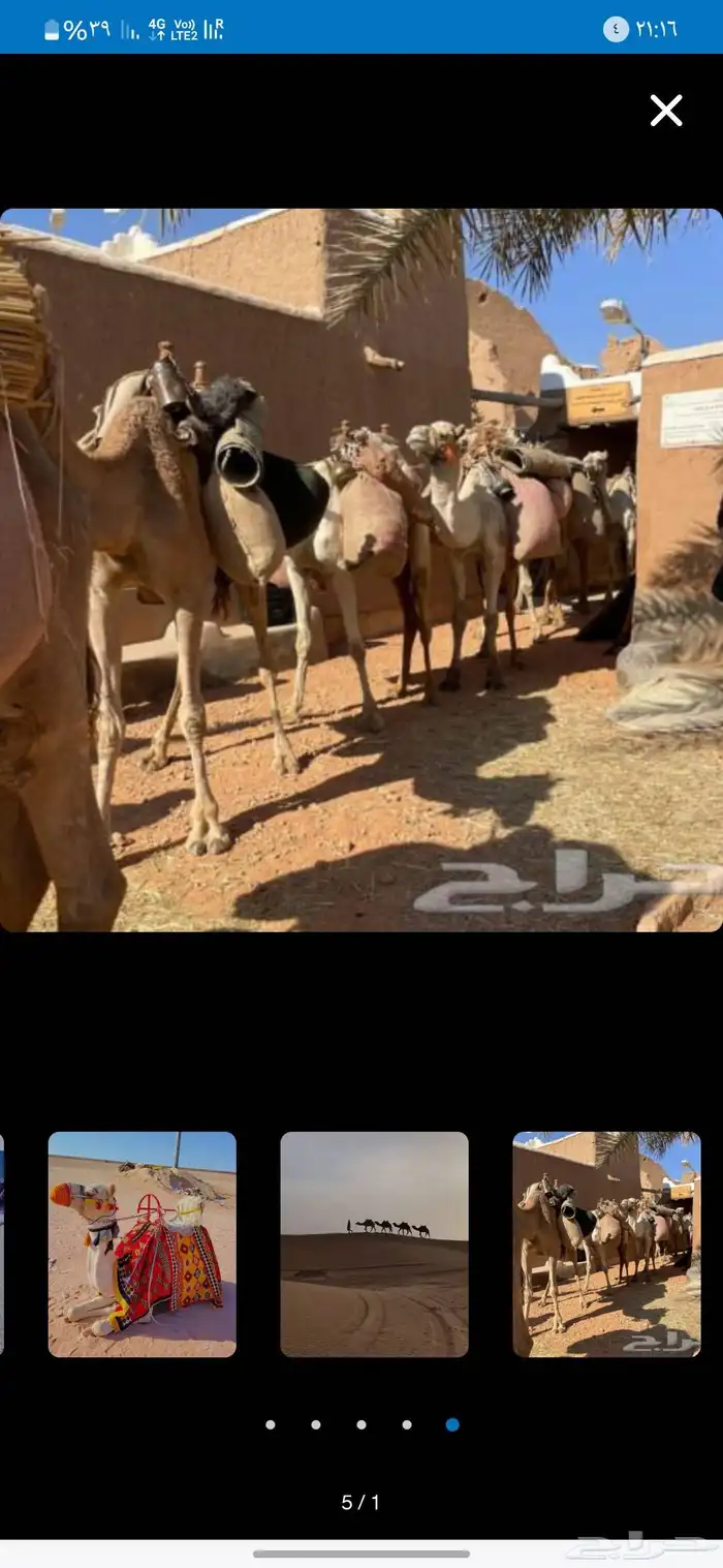 آجار جمال رحول ركبي لي التصوير وا الفعاليات وا المناسبه 4