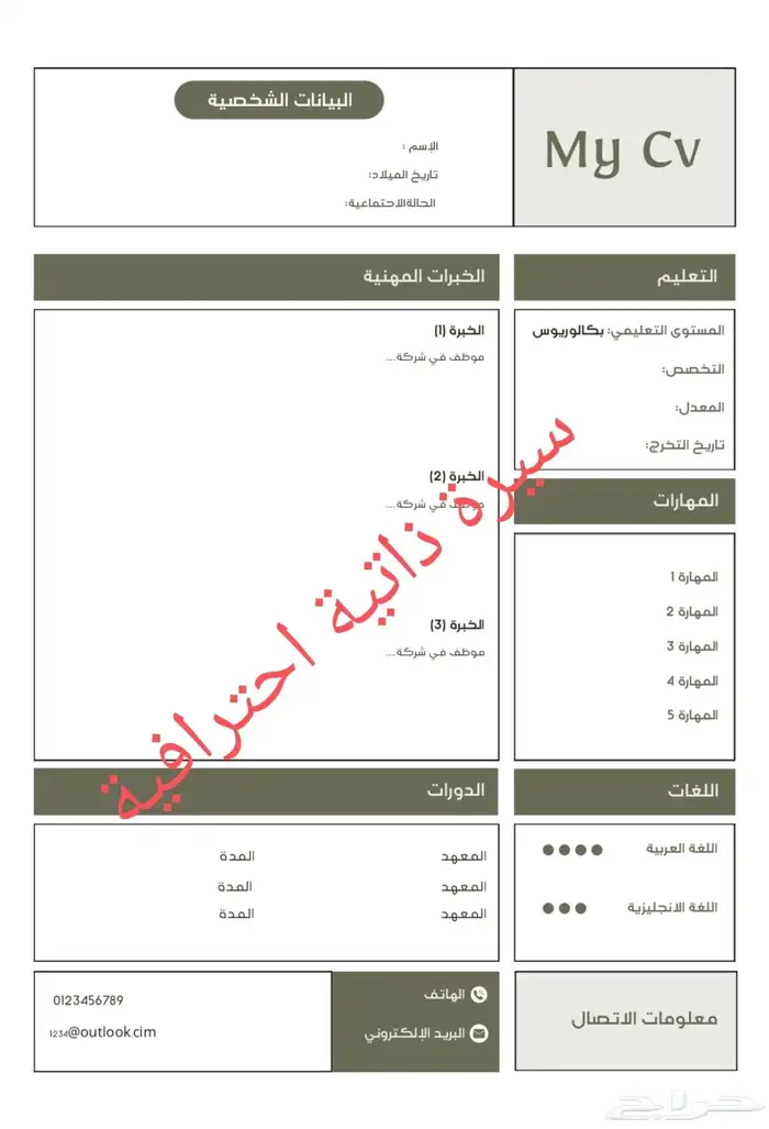 سيرة ذاتيه احترافية 0
