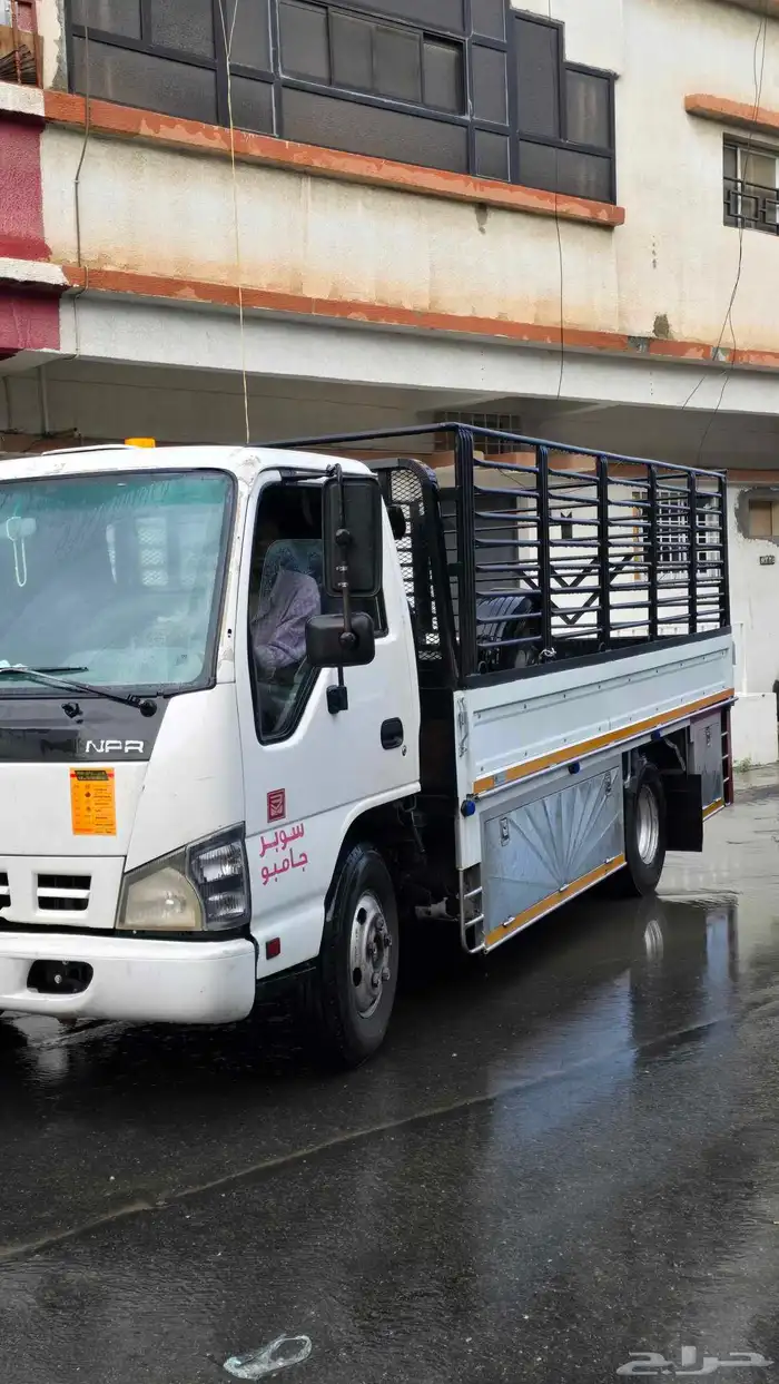 دينا سيزوز 2