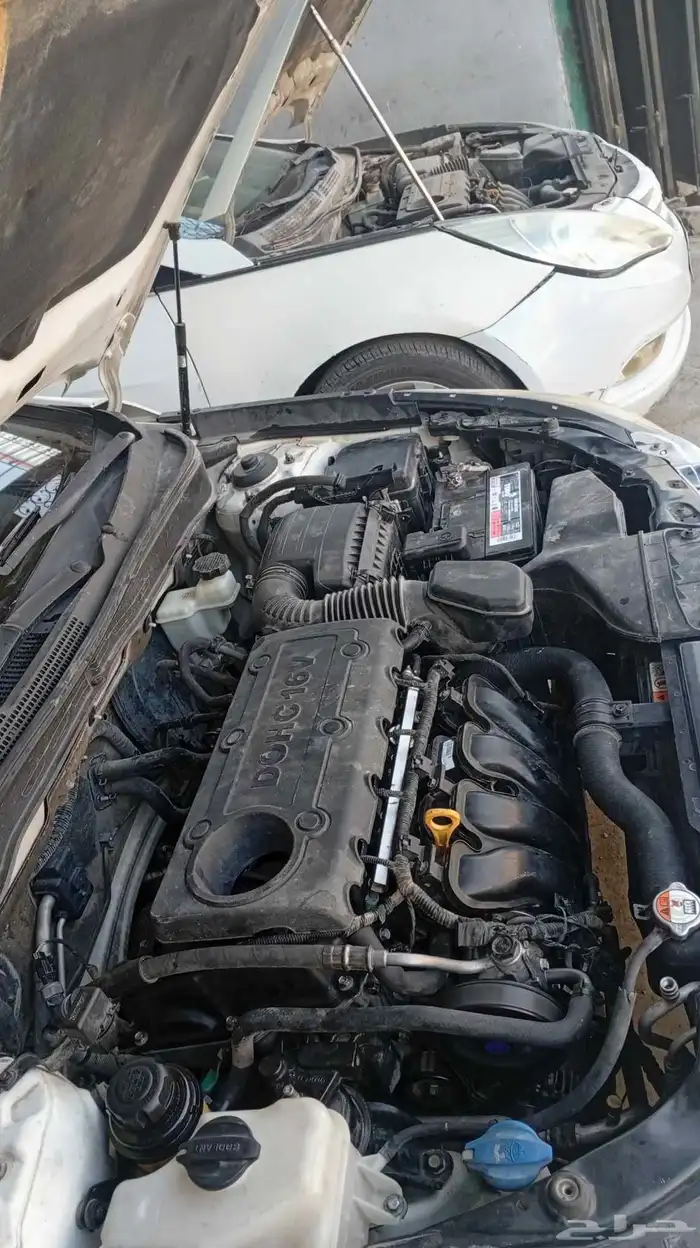 مكاين هونداي الكوري بشكل عام وجميع الأنواع والأحجام 6