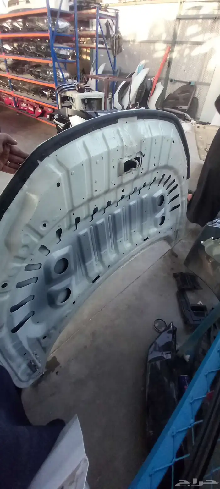 كبوت ابيض اكستريل 2023 1