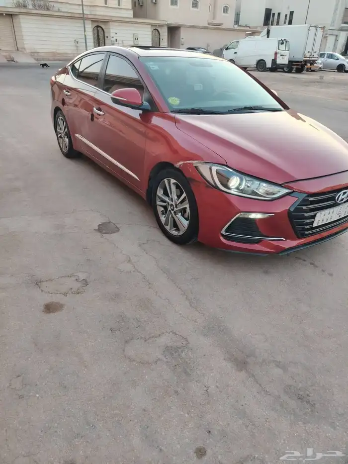 الرياض الشفا 1