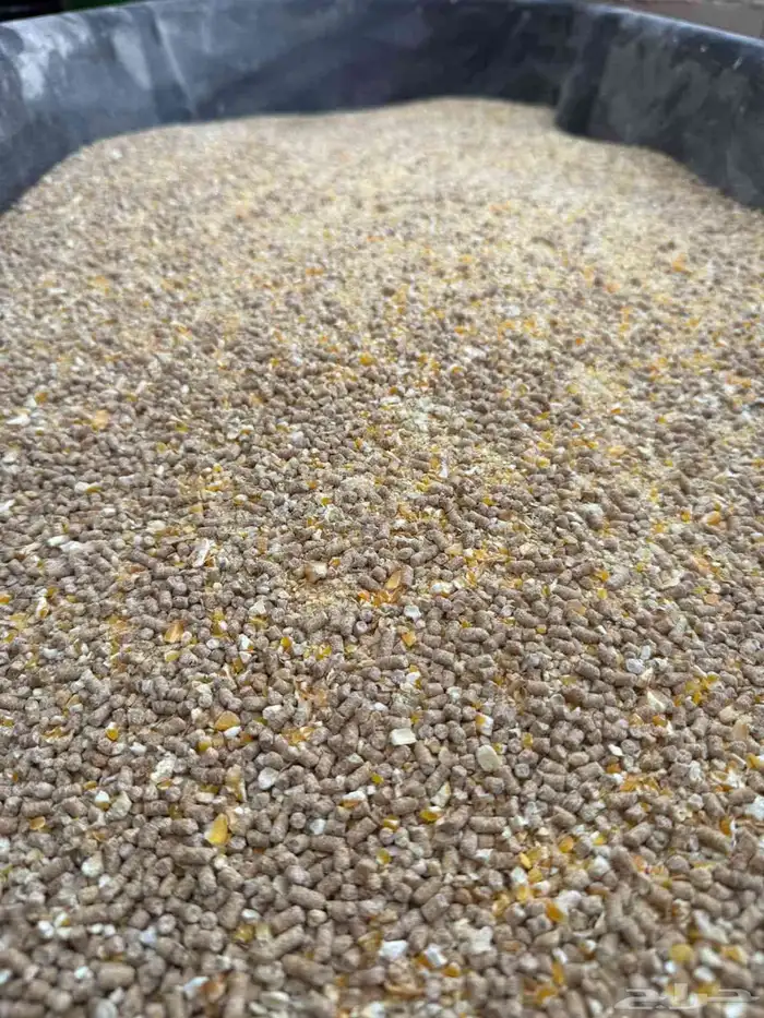 علف الخلطة الذهبية لتسمين الدواجن والحمام والطيور 0