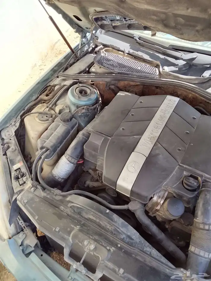 شبح فياقرا 8