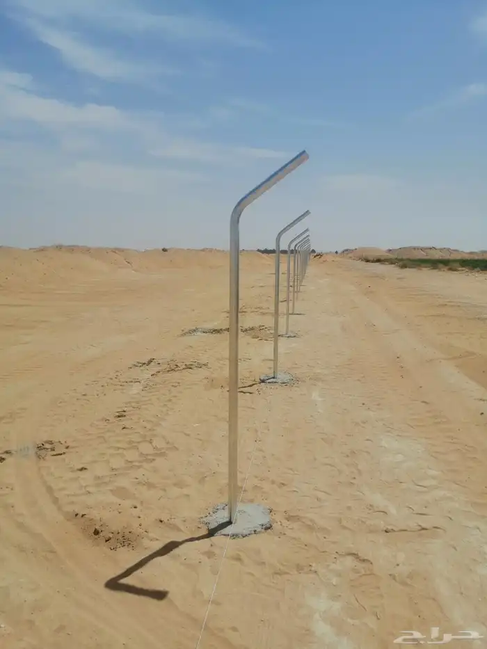 توريد نخيل وتركيب الشبوك سياج 7