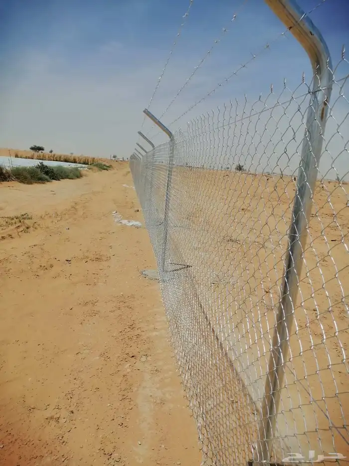 توريد نخيل وتركيب الشبوك سياج 5