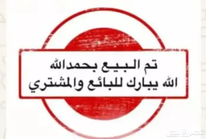 صنعاوي احمر من النوادر 0