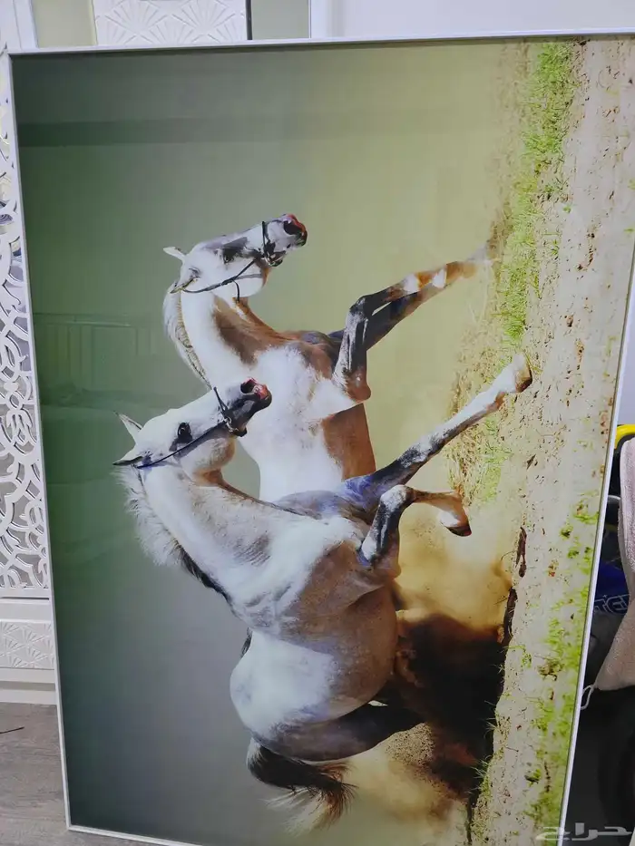 اثاث لوحة جدارية و مرتبة 0