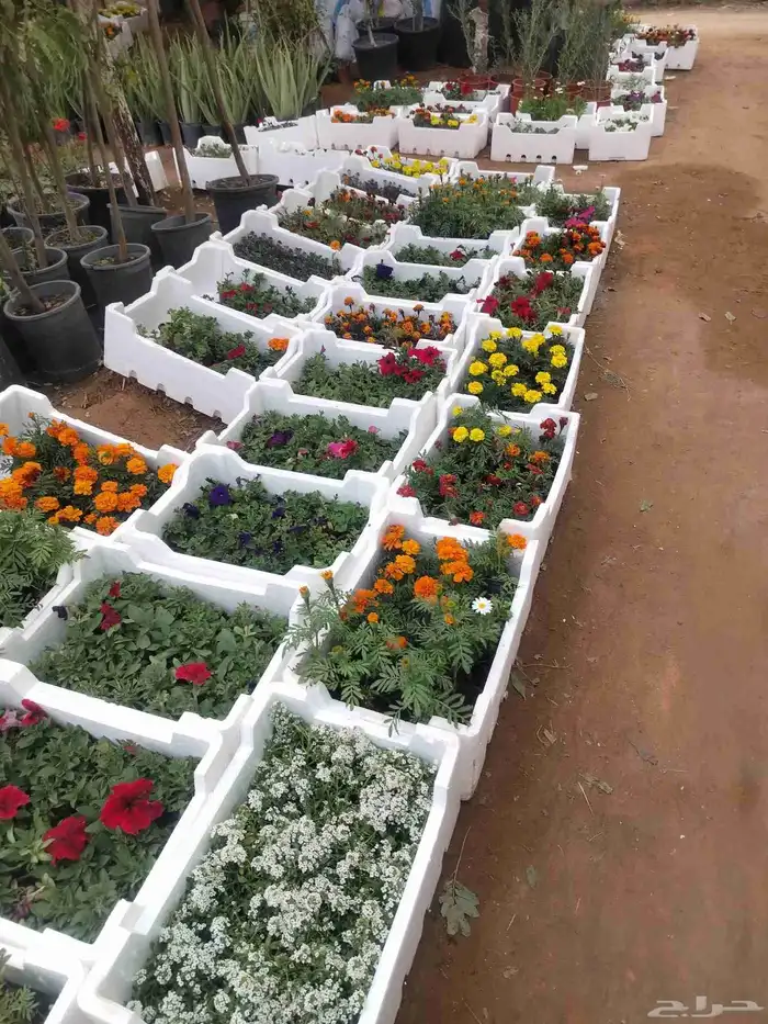 مظلات مع الزراعة شلالات ونوافير غرفة زجاجة 1