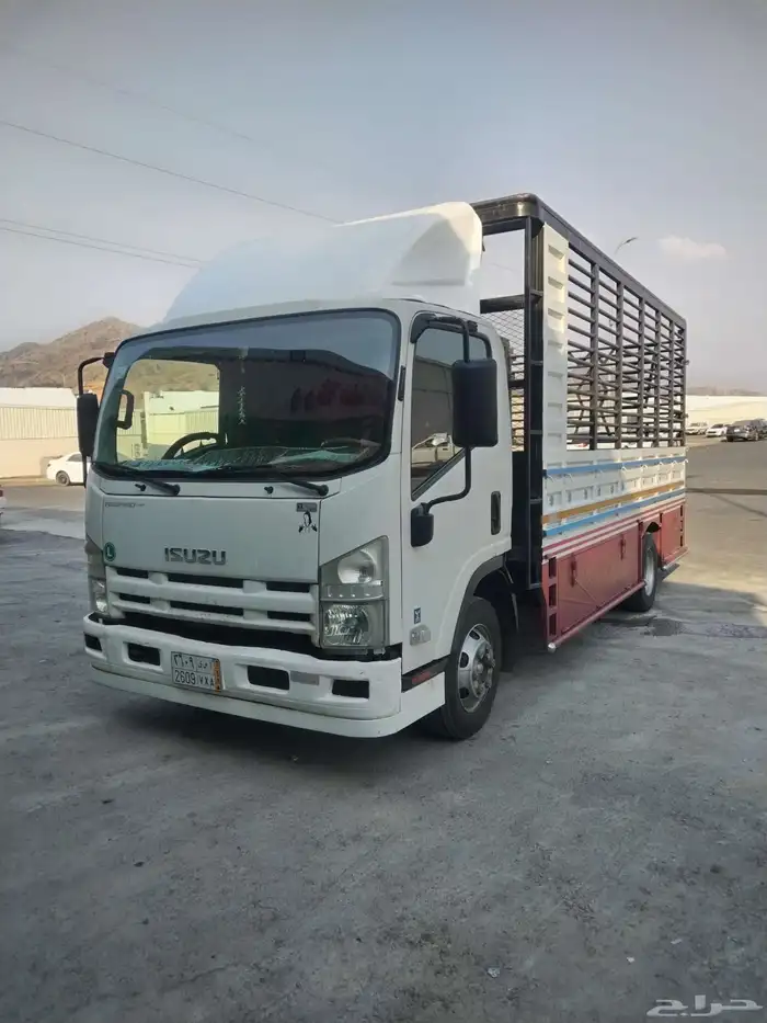 دينه 5 متر محايل عسير 3