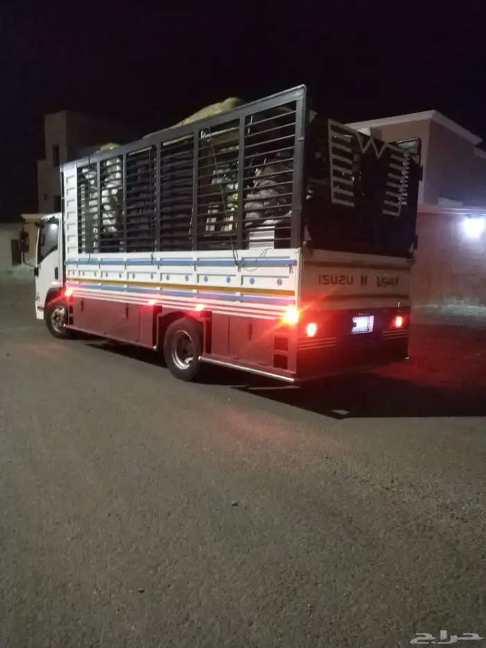 دينه 5 متر محايل عسير 2