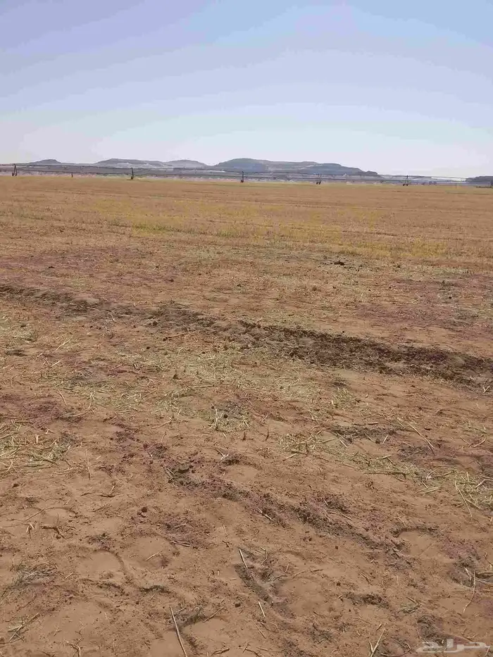 رشاش ستت أبراج الايجار الموقع غرب عيينه بقي التفصيل اتصال 2