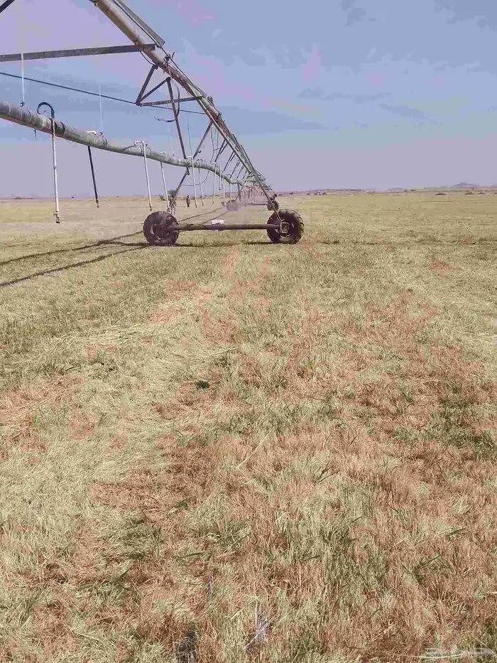 رشاش ستت أبراج الايجار الموقع غرب عيينه بقي التفصيل اتصال 0