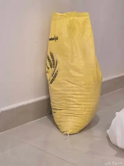 صيصان بط index