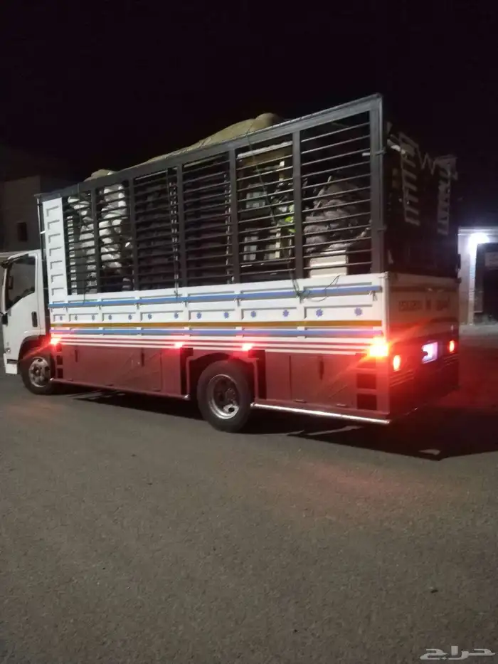 دينه 5 متر محايل عسير 8