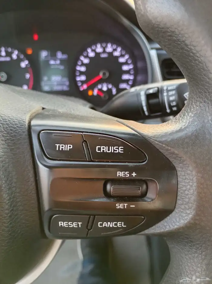 بودي وكاله شرط 12