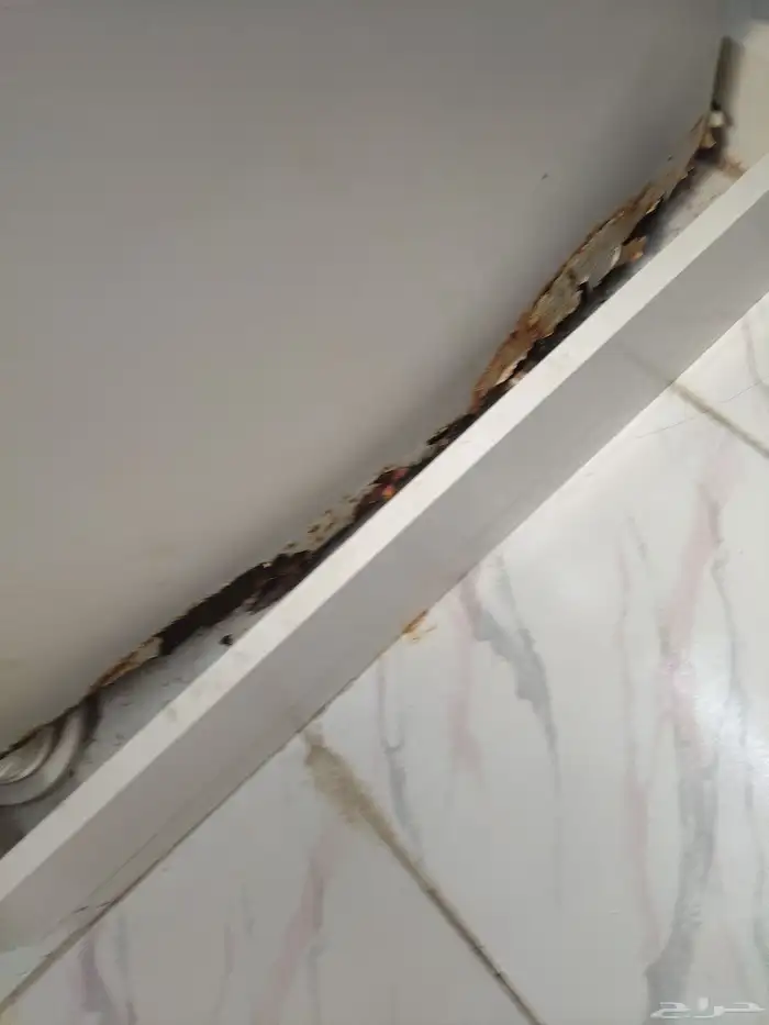 غساله توشيبا ب 500 3