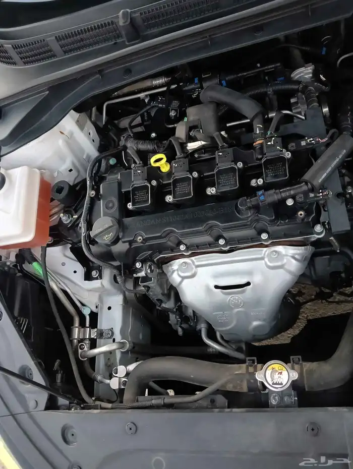 شانجان ايدو بلس 2023 17