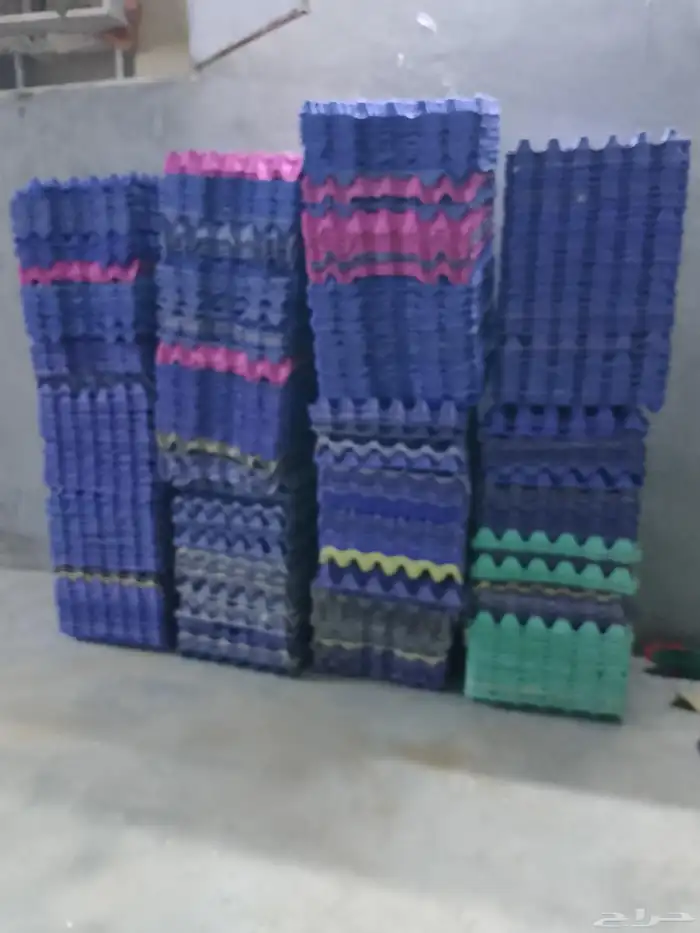كرتون بيض دجاج 0
