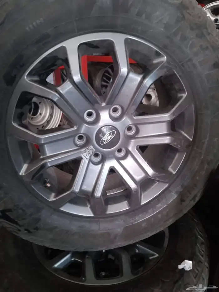 جنوط فرد الموديل الجديد 0