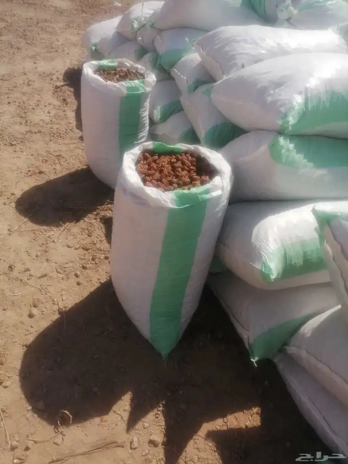 تمر علف عدد 1000 كيس شعير وطحين للبيع جملة وتفريد 3