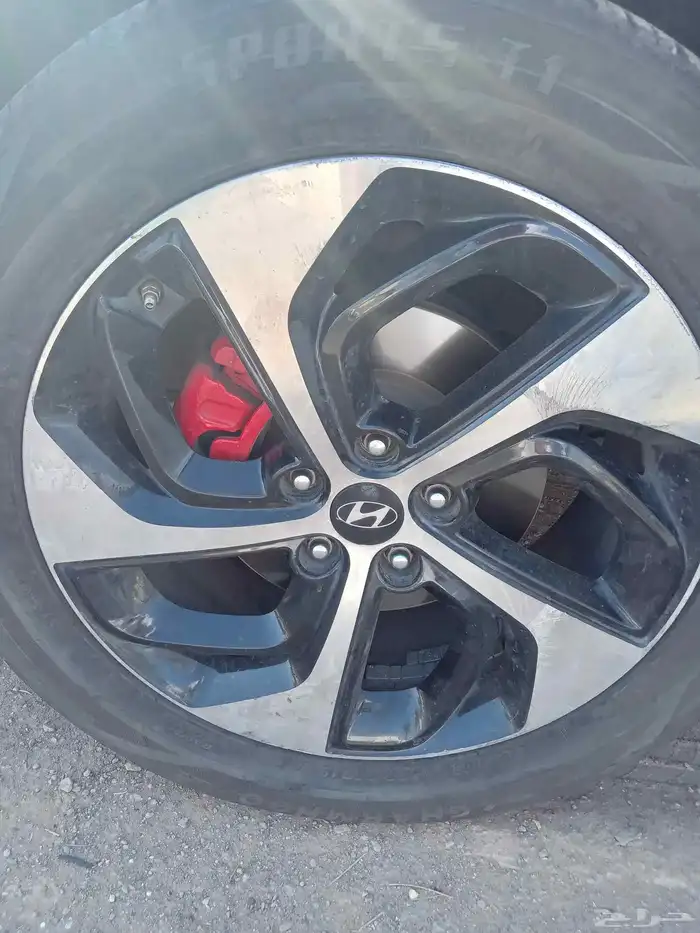 جنوط توسان للبيع 0