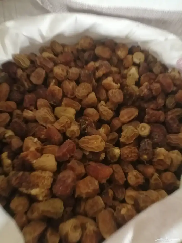 تمر علف عدد 1000 كيس شعير وطحين للبيع جملة وتفريد 9