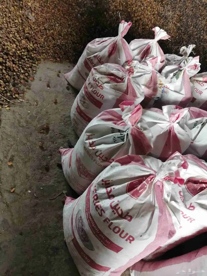 تمر علف عدد 1000 كيس شعير وطحين للبيع جملة وتفريد 7