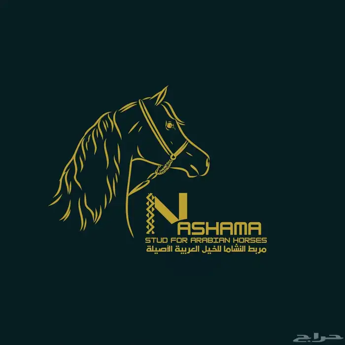 مصمم لوقوهات وكرت دعوه 0