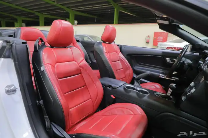 فورد موستنج GTكشف موديل 2020 14