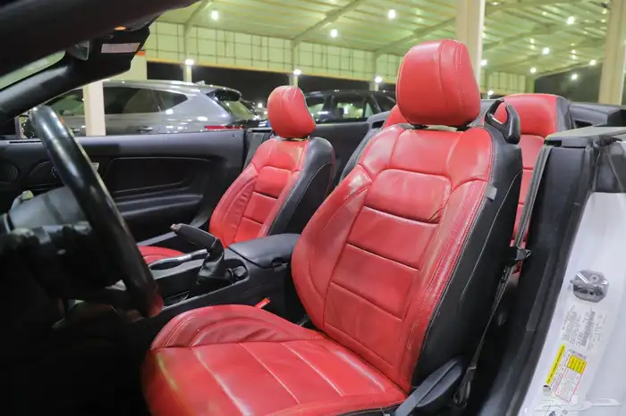 فورد موستنج GTكشف موديل 2020 13