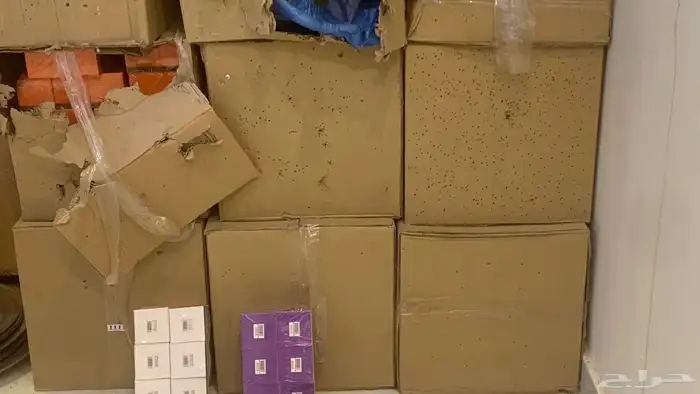 البيع جمله 1