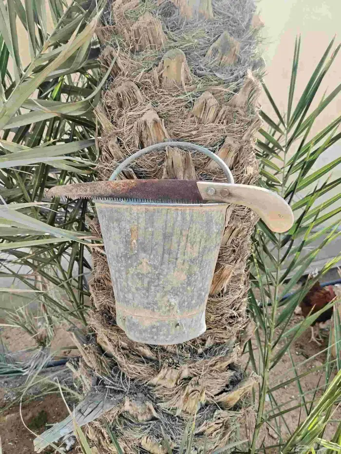 تراث مشذاب خشبي و صطل 3