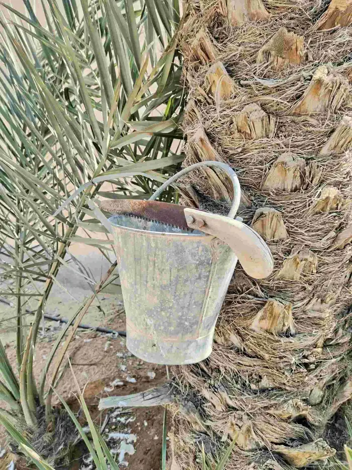 تراث مشذاب خشبي و صطل 4