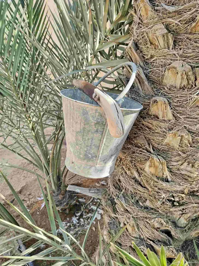 تراث مشذاب خشبي و صطل 2