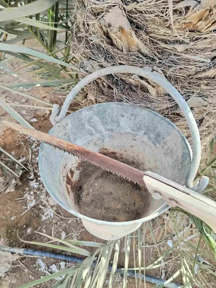 تراث مشذاب خشبي و صطل 0