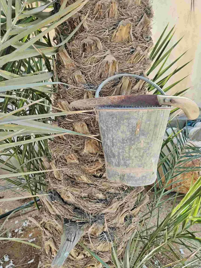 تراث مشذاب خشبي و صطل 1