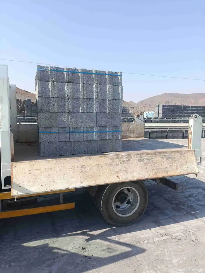 دينا قلاب للايجار اليومي والشهري مع السواق مصري الجنسية 0