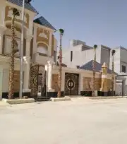 نخيل واشنطني زينه لبيع 9