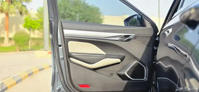 جيلي بينراي فل كامل 2022 30