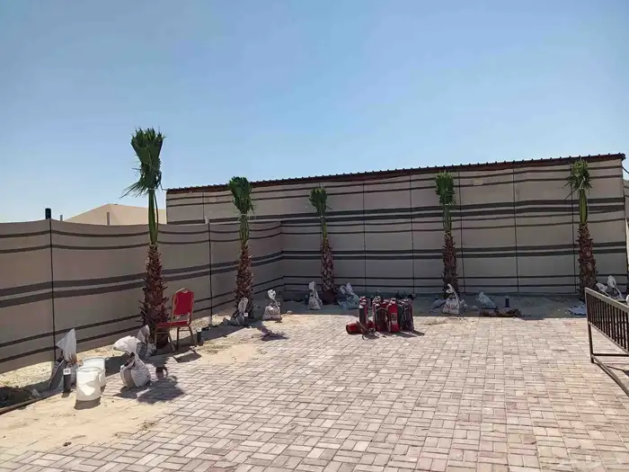 ابوياسين لبيع جميع انواع النخيل البلدي والواشنطن والفسيل 1